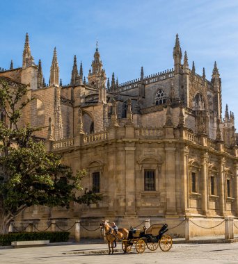 Geleneksel bir at arabası turistleri gezdiriyor, parlak, güneşli bir günde İspanya 'daki Seville Katedrali' nin önünde bekliyor..