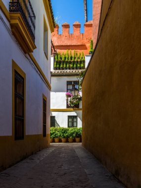 Dışarıda saksıları olan güzel beyaz bir villa Seville, İspanya 'da dar bir arka sokakta güneş ışığıyla aydınlatılır.