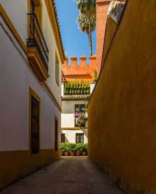 Dışarıda saksıları olan güzel beyaz bir villa Seville, İspanya 'da dar bir arka sokakta güneş ışığıyla aydınlatılır.