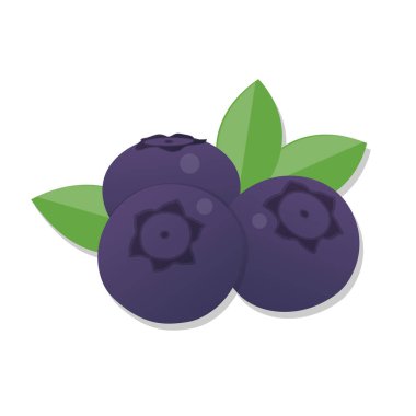 Taze meyve yaban mersini çizgi filmi çizimi