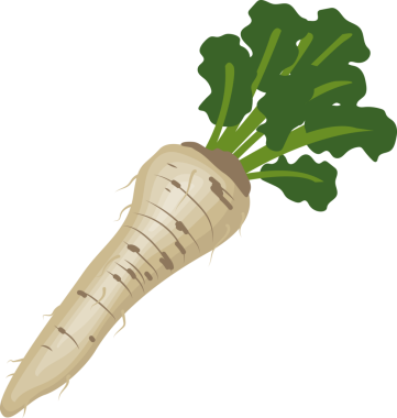 Sebze organik taze yaban turpu şeffaf görüntüsü