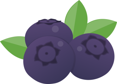 Taze meyve yaban mersini şeffaf görüntüsü