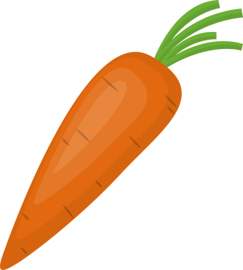 Taze doğa sebze havuç şeffaf görüntü