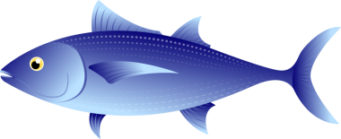 Taze deniz ürünleri ton balığı şeffaf görüntüsü