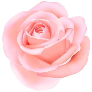 Zarif 3D gerçekçi pembe gül çiçeği