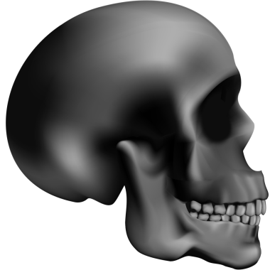 3D gerçekçi siyah gri ton insan kafatası
