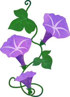 Su rengi desenli botanik bahçesi mor sabah çiçeği