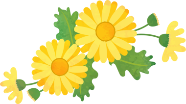 Suyun rengi botanik bahçesi çiçeği sarı papatya