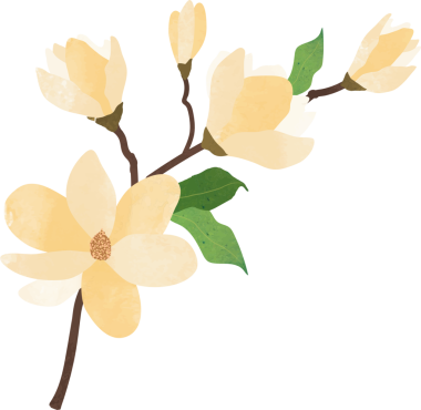 Su rengi desenli botanik bahçesi bitkisi sarı manolya çiçeği