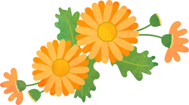 Su rengi desenli botanik bahçesi çiçeği, turuncu papatya.