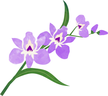 Suyun rengi botanik bahçesi çiçeği mor orkide