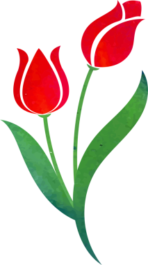 Su rengi desenli botanik bahçesi çiçeği kırmızı lale