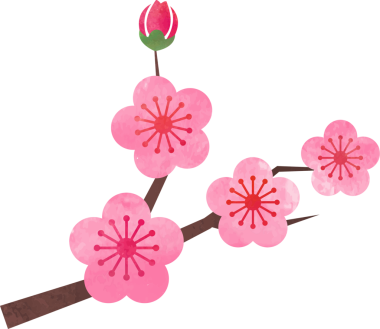 Su rengi, botanik bahçesi, çiçek, pembe erik çiçeği.