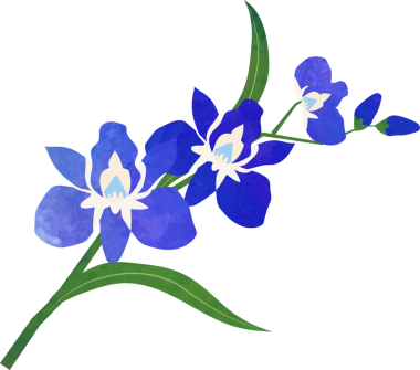 Su rengi desenli botanik bahçesi bitkisi mavi orkide