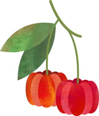 Renkli suluboya desenli yiyecek meyve pitangası