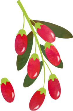 Renkli suluboya desenli yiyecek meyveli goji üzümü.