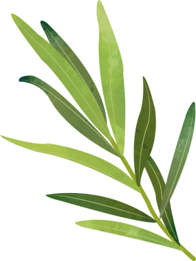 Renkli suluboya desenli gıda malzemesi sebze baharatlı tarhun.