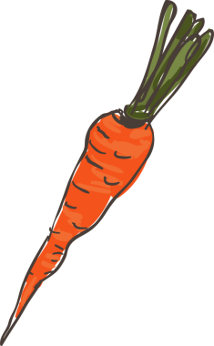 Renkli el çizimi, şık sebze havucu.