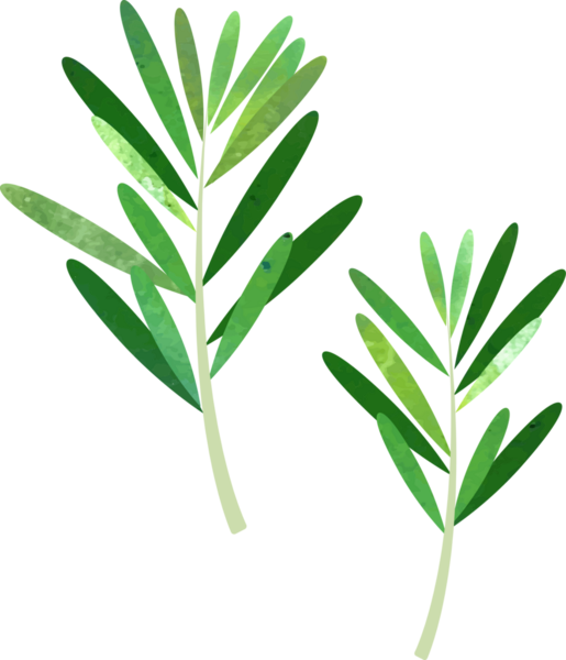 Renkli suluboya desenli gıda malzemesi sebze baharatı biberiyesi