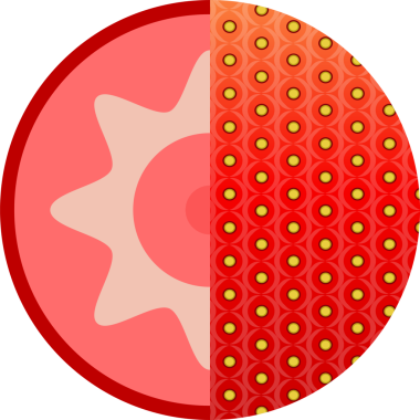 Yuvarlak yiyecek ikonu çilek