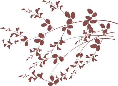 Japon retro geleneksel botanik bahçesi yaprağı