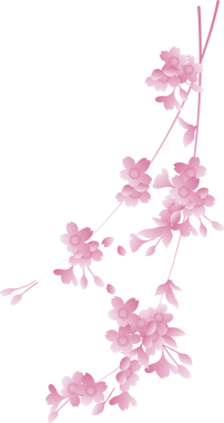 Japon retro geleneksel botanik bahçesi. Pembe sakura kiraz çiçeği.