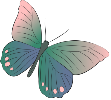 Zarif, güzel böcek kelebeği.