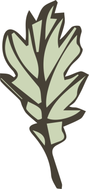 El yapımı doğa bitkisi yaprağı.