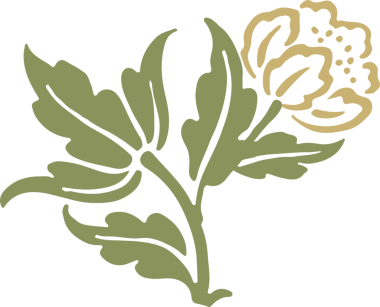 Eski tarz botanik bahçesi çiçek yaprağı.