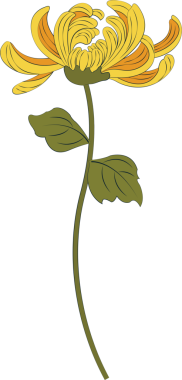 Doğa botanik bahçesi kasımpatı çiçeği