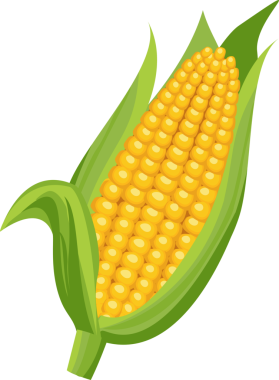 Çizgi film çizimi izole edilmiş nesne taze sebze tatlı mısır