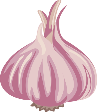 Çizgi film çizimi nesne yiyecek gradyan sarımsak izole