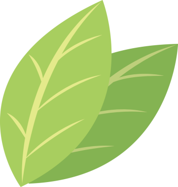 şeffaf arkaplan resmi yeşil yaprak