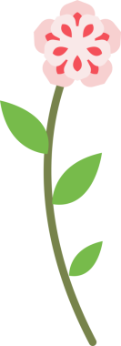 şeffaf arkaplan resmi botanik bahçe çiçeği