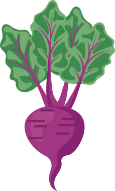 sebze pancarı besin görüntüsü