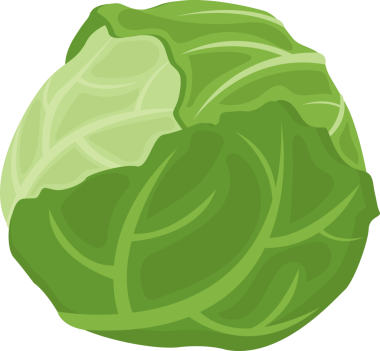 Sebzeli lahana resmi.