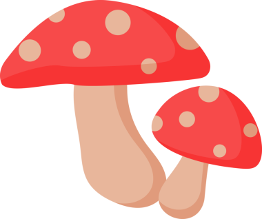 yiyecek mantarı şeffaf arkaplan