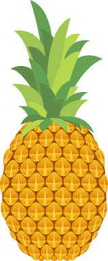 tropikal meyve ananas resmi