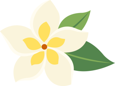 Botanik çiçeği frangipani resmi