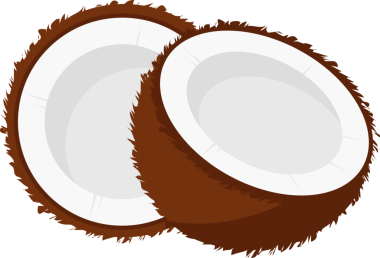 tropikal meyve hindistan cevizi resmi