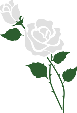 karikatür botanik bahçesi çiçeği beyaz gül