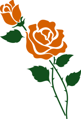 karikatür botanik bahçesi çiçeği turuncu gül