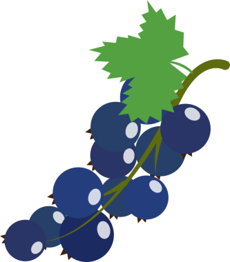 Renkli yiyecek, siyah frenk üzümü.