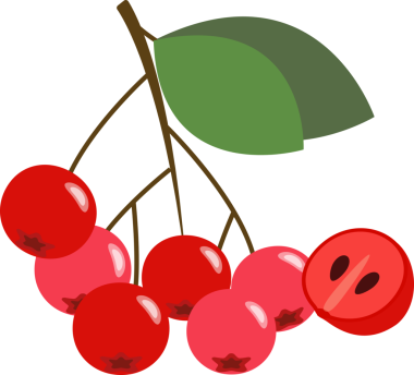 Renkli gıda meyvesi kırmızı boğaz üzümü