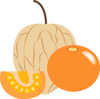 Renkli gıda meyveleri, bektaşi üzümü pelerini.