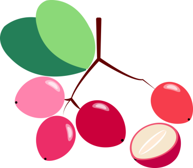 Renkli gıda karundası