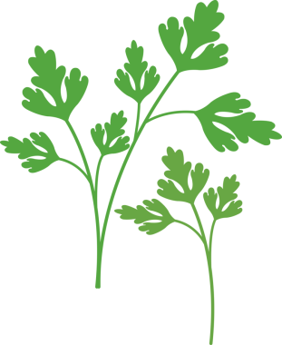 Renkli gıda malzemeleri sebze baharatlı maydanoz.