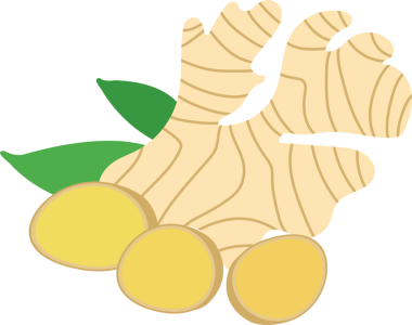 Renkli gıda malzemesi sebze zencefili.