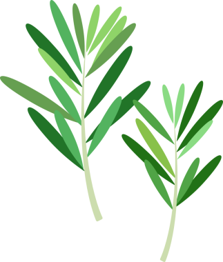 Renkli gıda malzemesi sebze baharatlı biberiye.