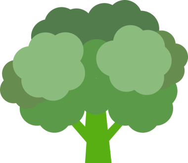 Renkli gıda malzemesi sebze brokoli.